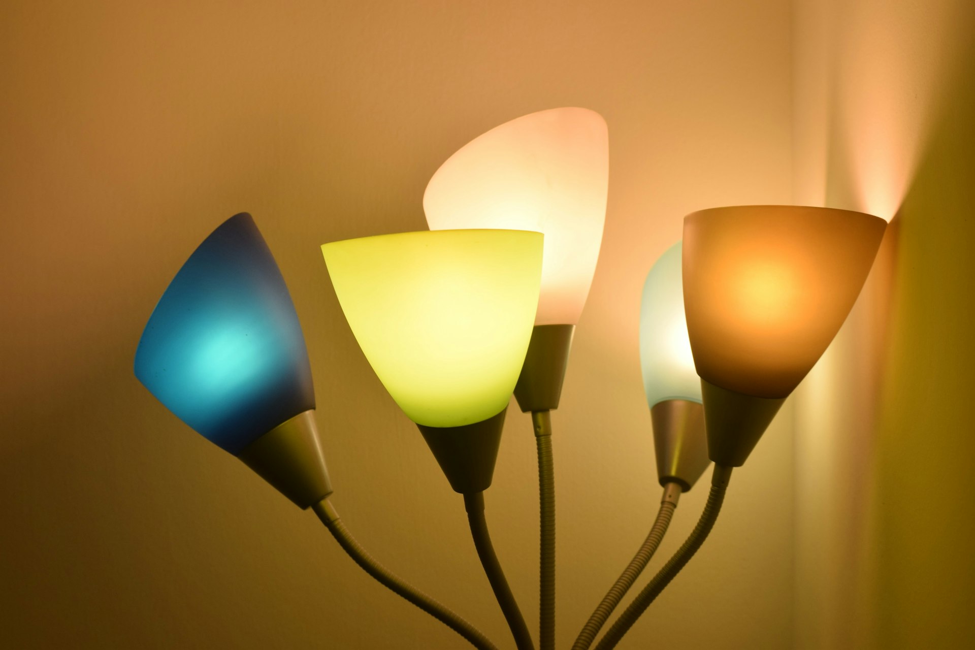 a pair of light bulbs